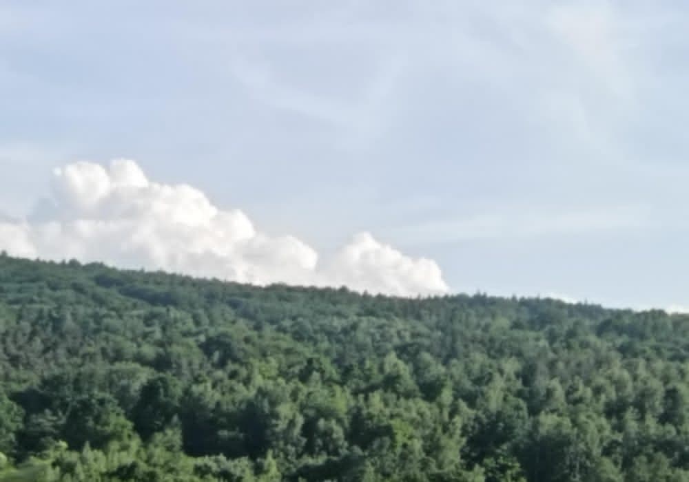 Lipnica Dolna - 7 hektarów 33 ary - 6