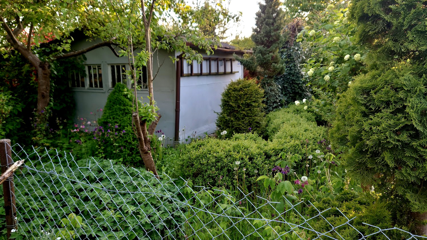 SPRZEDAM Działkę ogrodową w Słupsku 447m². - 6