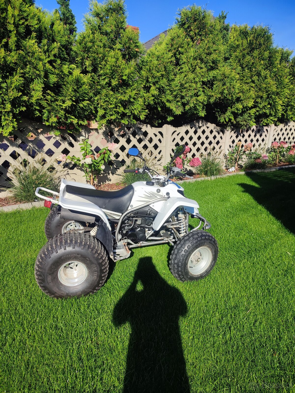 Yamaha Blaster 200 2T - 6