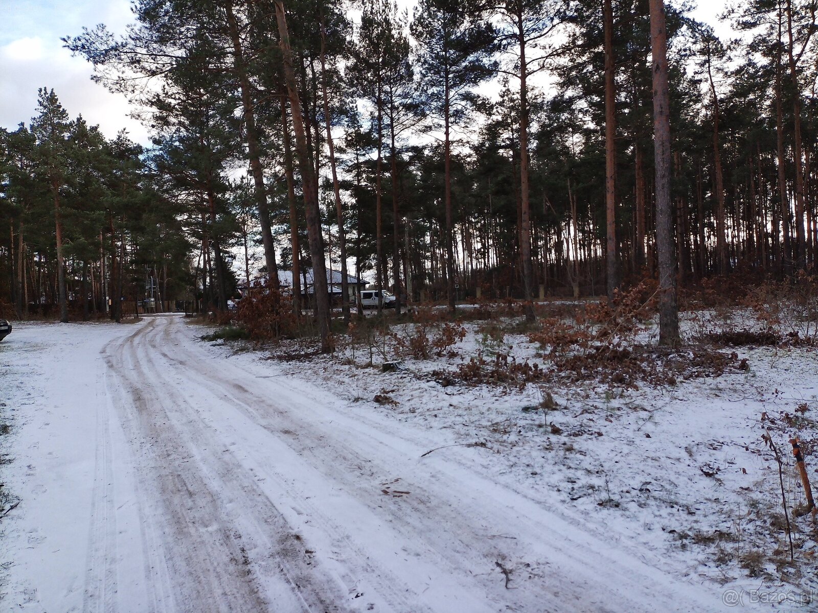 Leśno-budowlana - 6