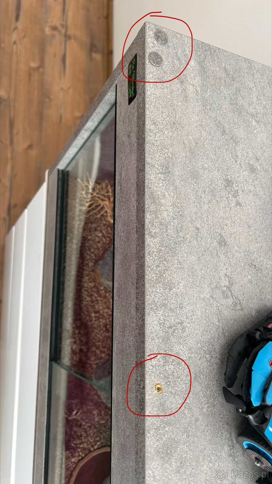 Dwa gekony wraz z terrarium - 6