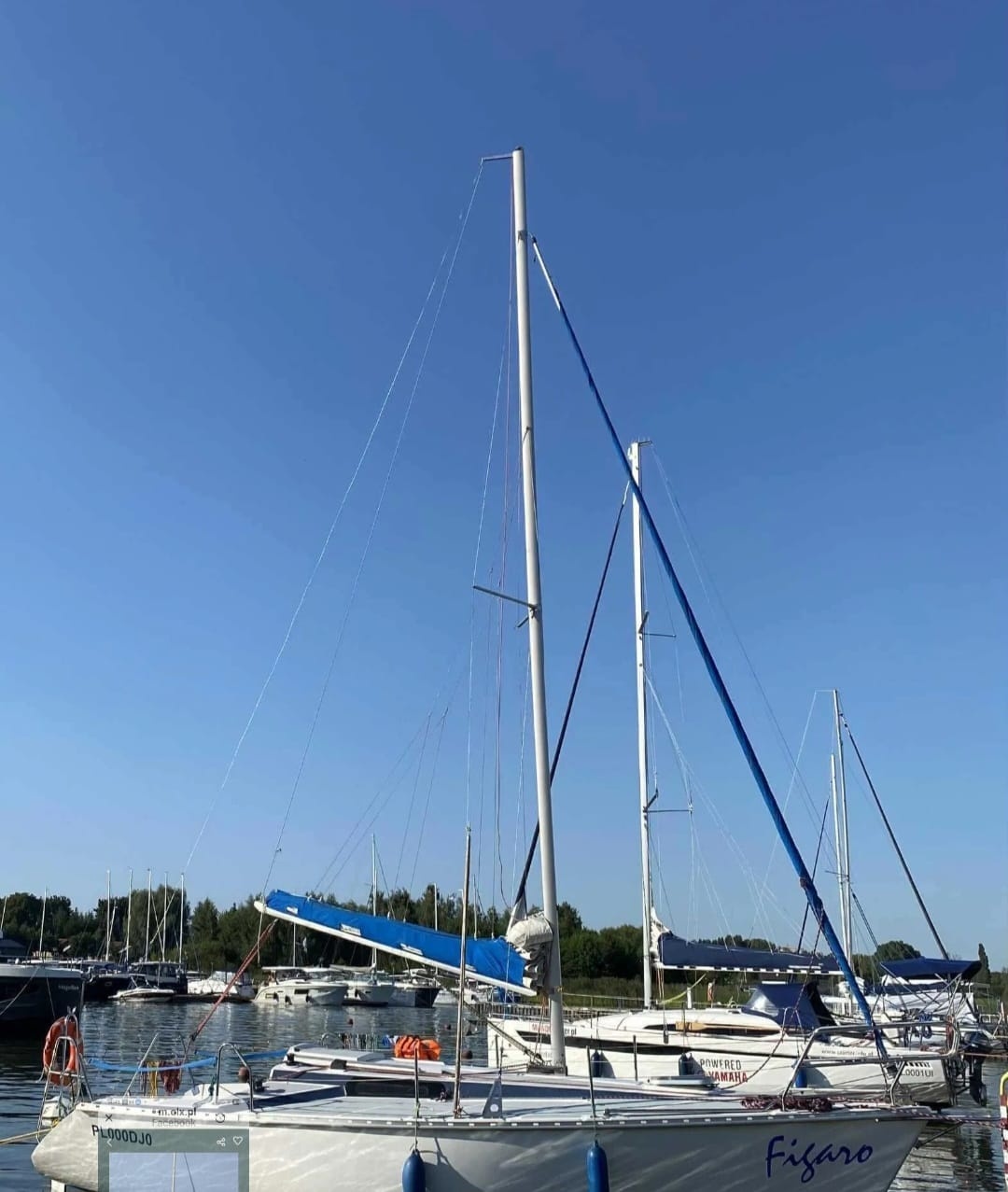 Sprzedam Jacht TANGO 780 Sport - 6
