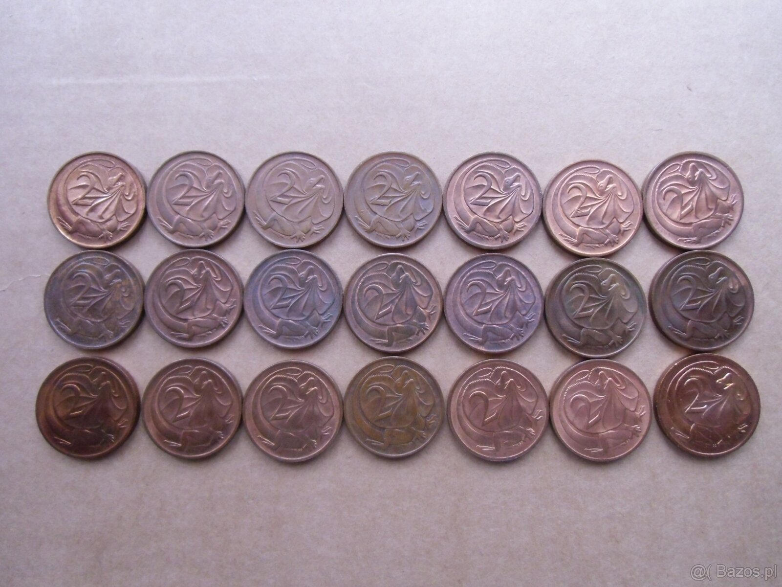 139 monet z Australii - 6