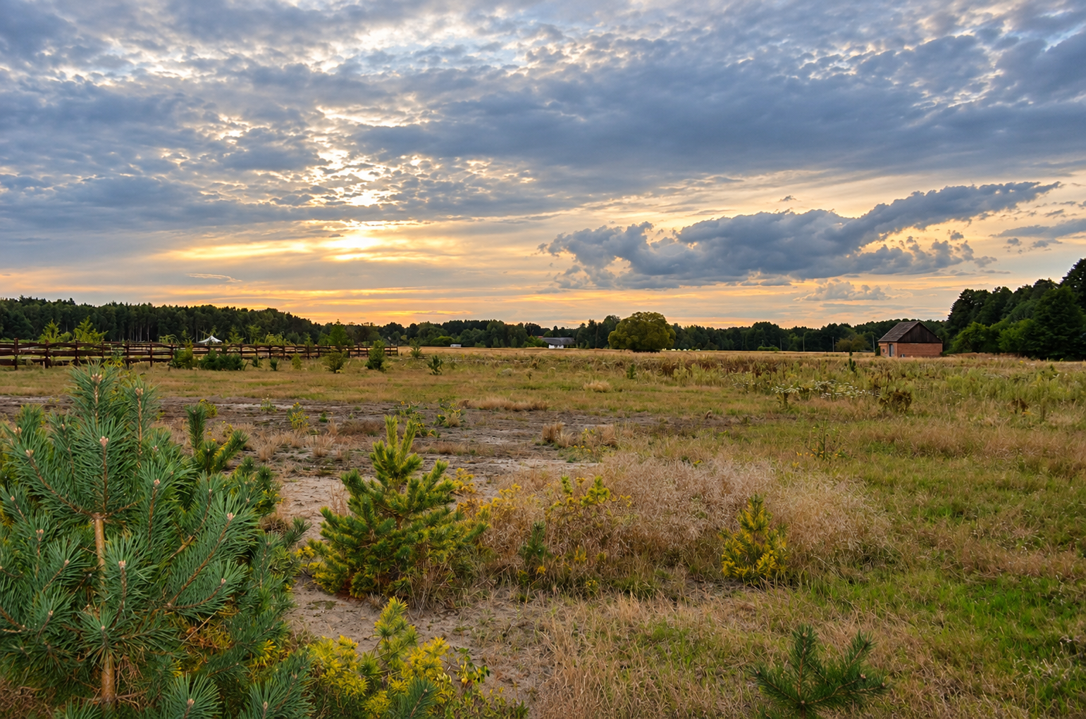 DZIAŁKA ROLNO-BUDOWLANA , WZ- 5267 m² - 6
