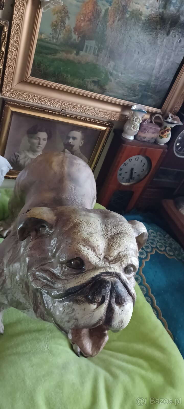 figura BULDOG ANGIELSKI XXL z żywicy wysokośc 74 z glowa 56c - 6