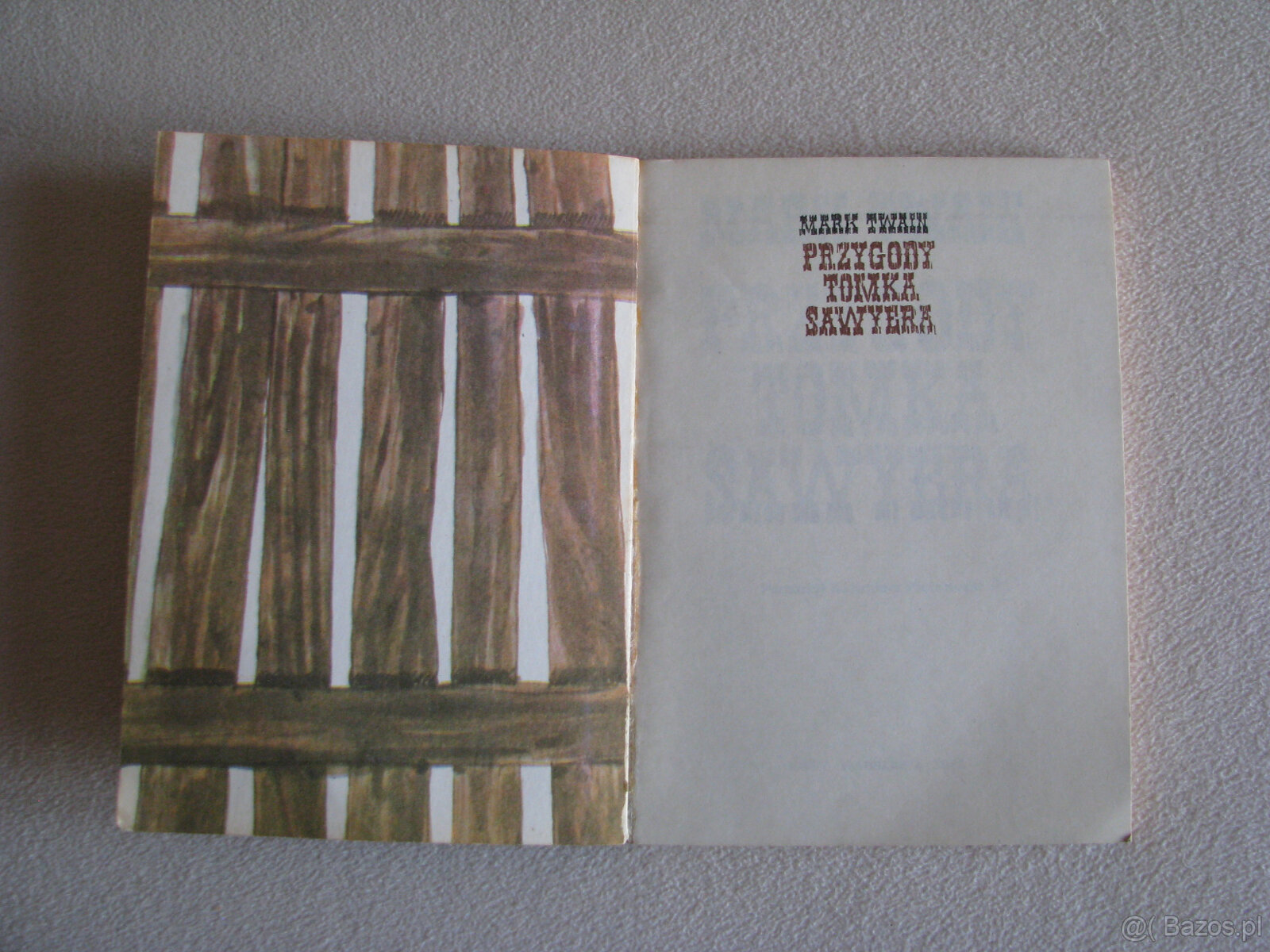 Przygody Tomka Sawyera, Mark Twain - 6