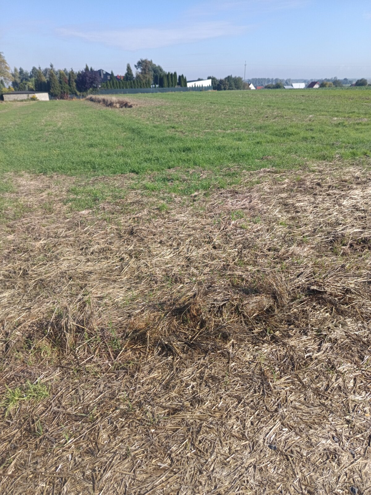 Działka budowlana 93,3 ar - 6