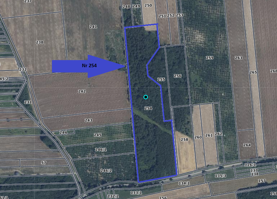 Sprzedam DZIAŁKI ROLNE, gm. Skierbieszów, pow. zamojski - 6