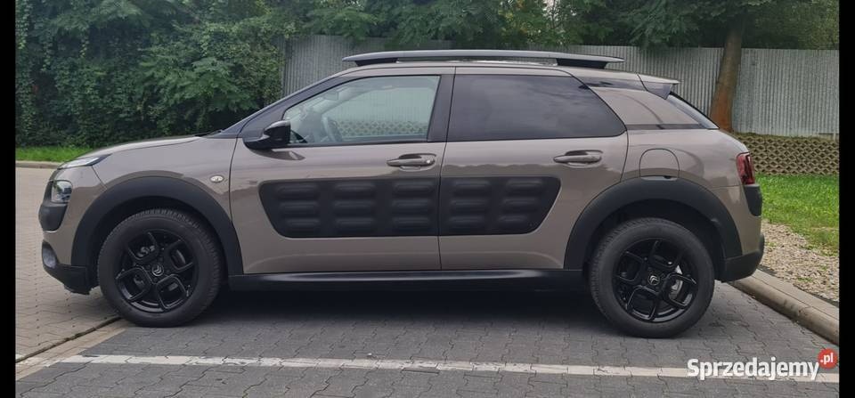 Cactus Sprawdz go w warsztacie na godziny tel. 519 853 348 - 6