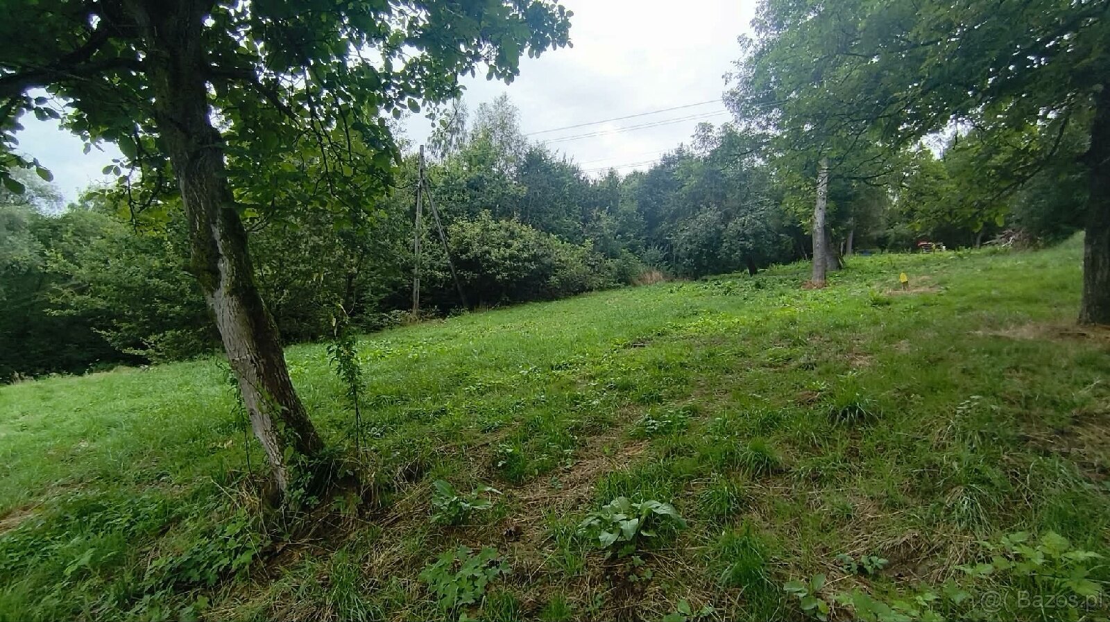 Działka bud. 19 arów- Janowice, powiat tarnowski, gm. Pleśna - 6