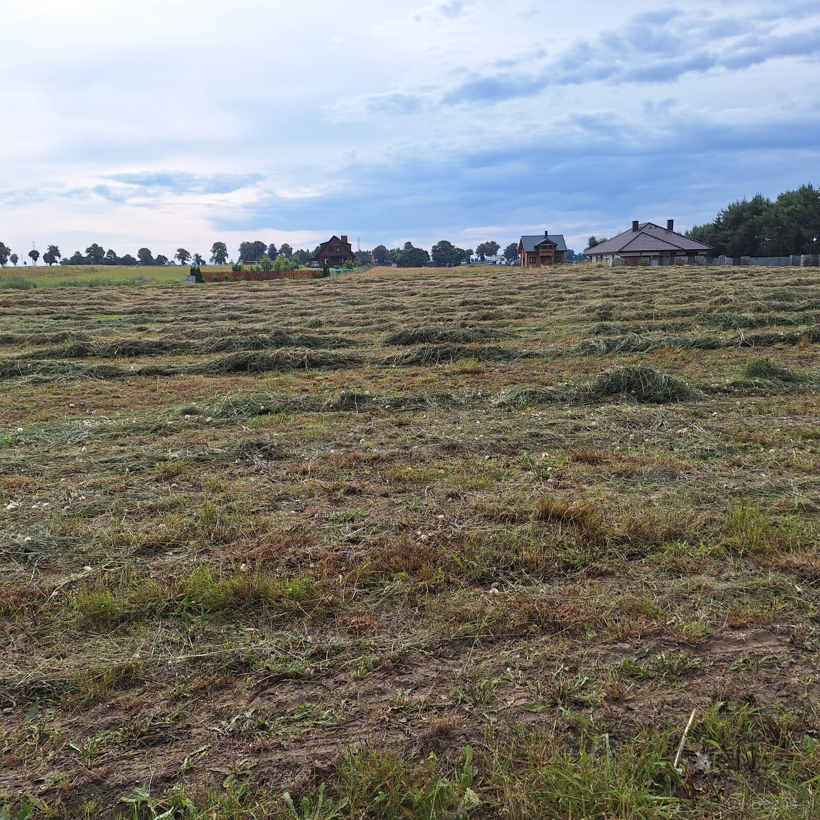 Sprzedam działkę niewydzielona od 3000m2 - 6