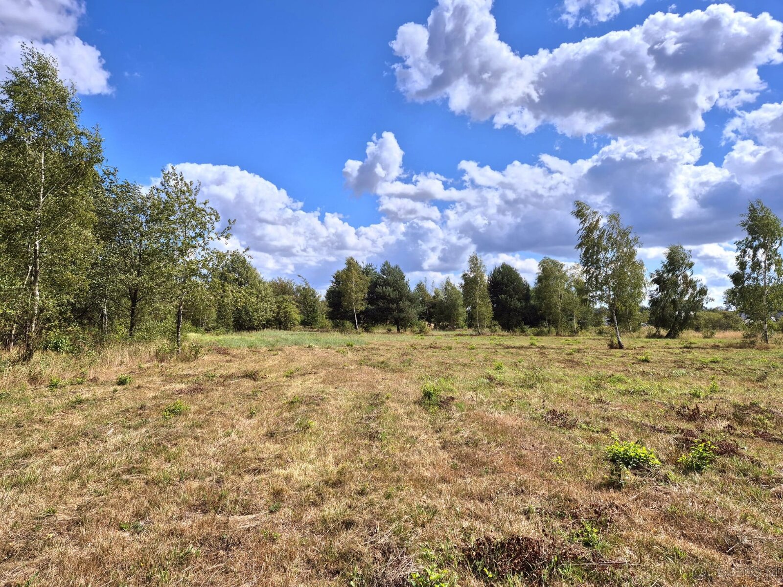 Dom Parterowy - Franciszków-w obok Bolimowskiego Parku - 6
