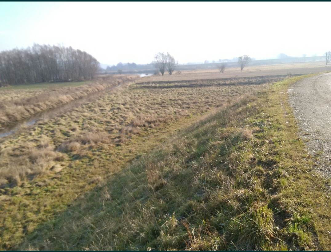 Cztery działki rolne - Okleśna, gm. Alwernia - 6