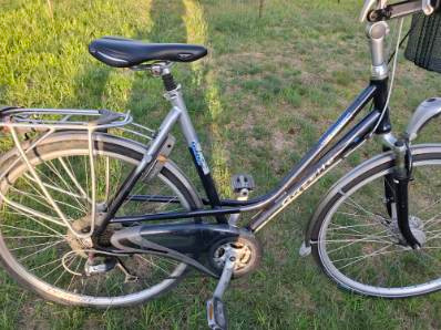 Sprzedam super Gazelle Medeo - 6