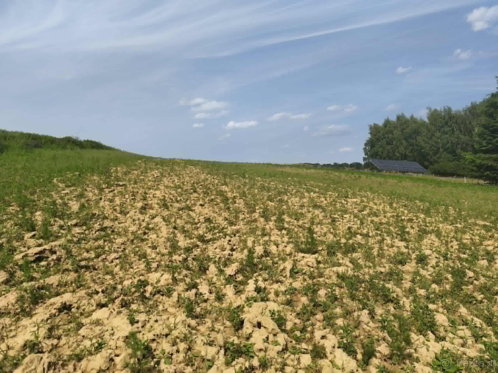 Działka budowlana w miejscowości Siedliska - 6