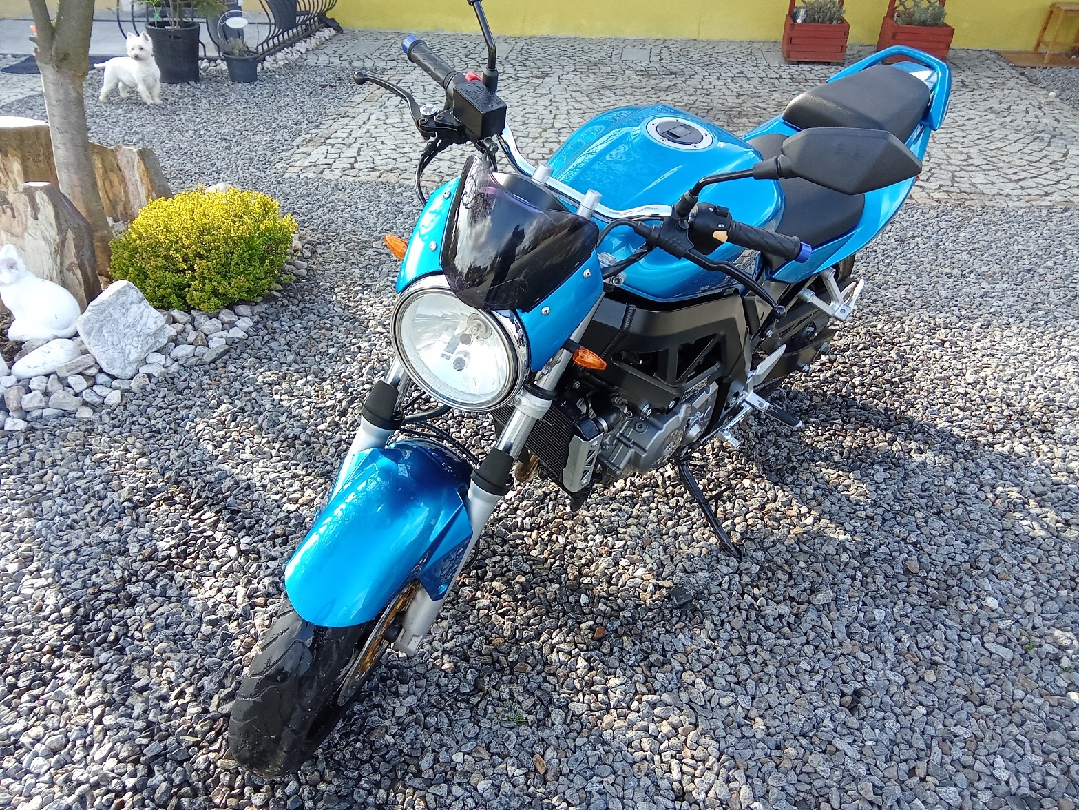 SUZUKI SV 650m - 6