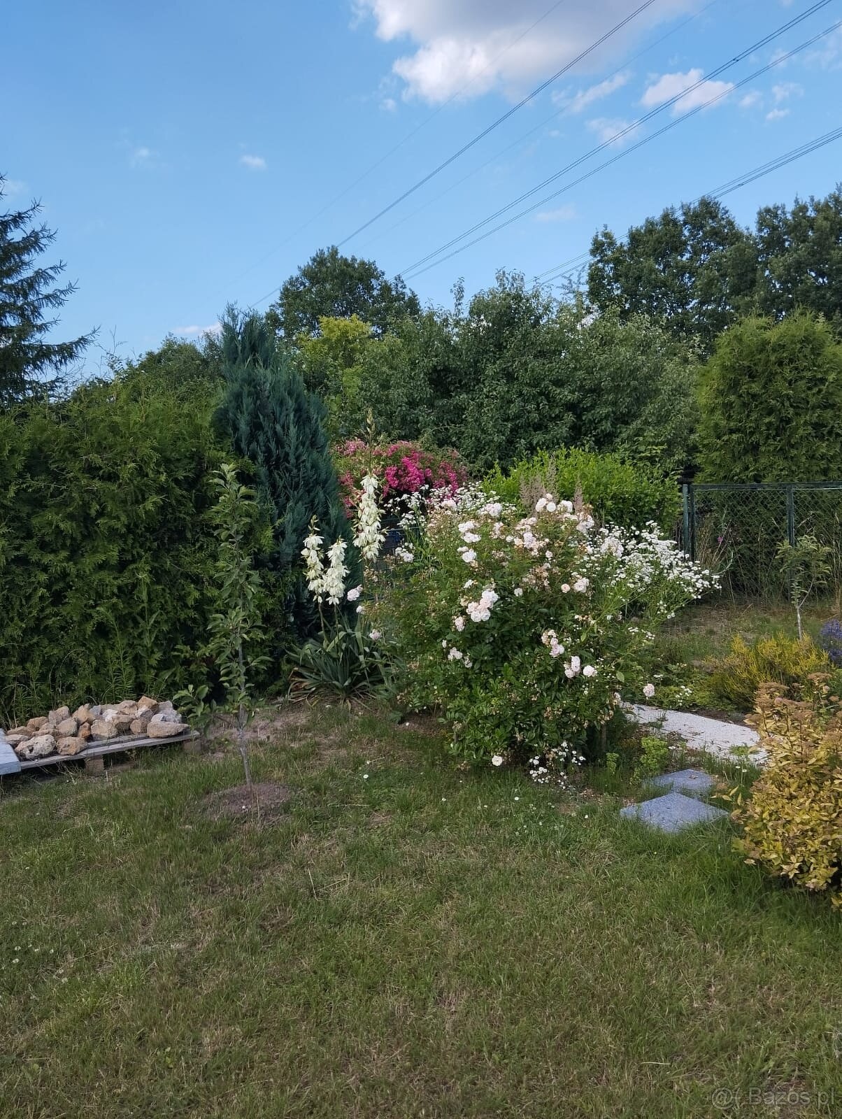 Sprzedam ładną działkę ROD - możliwość używania cały rok - 6