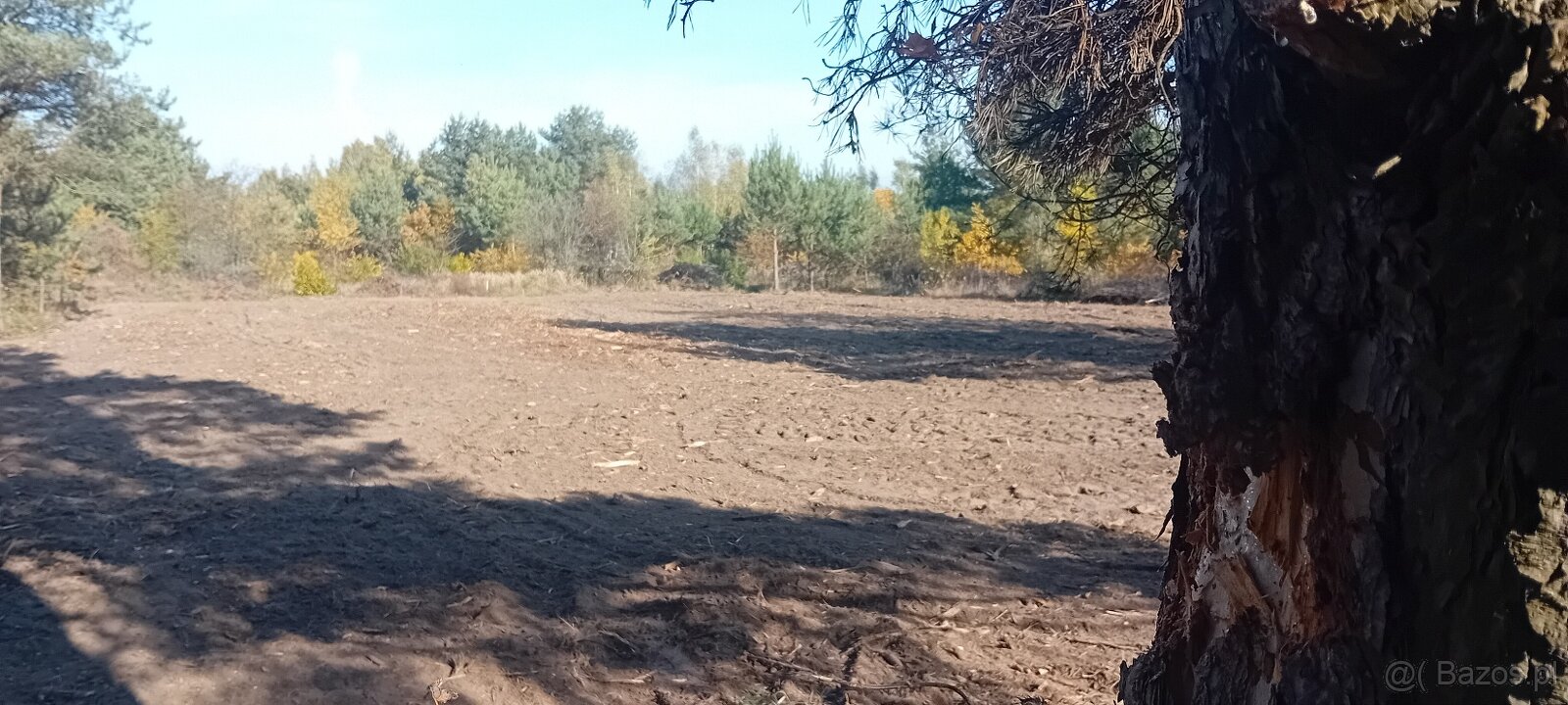 Atrakcyjna działka z dostępem do mediów (światłowód) w drodz - 6