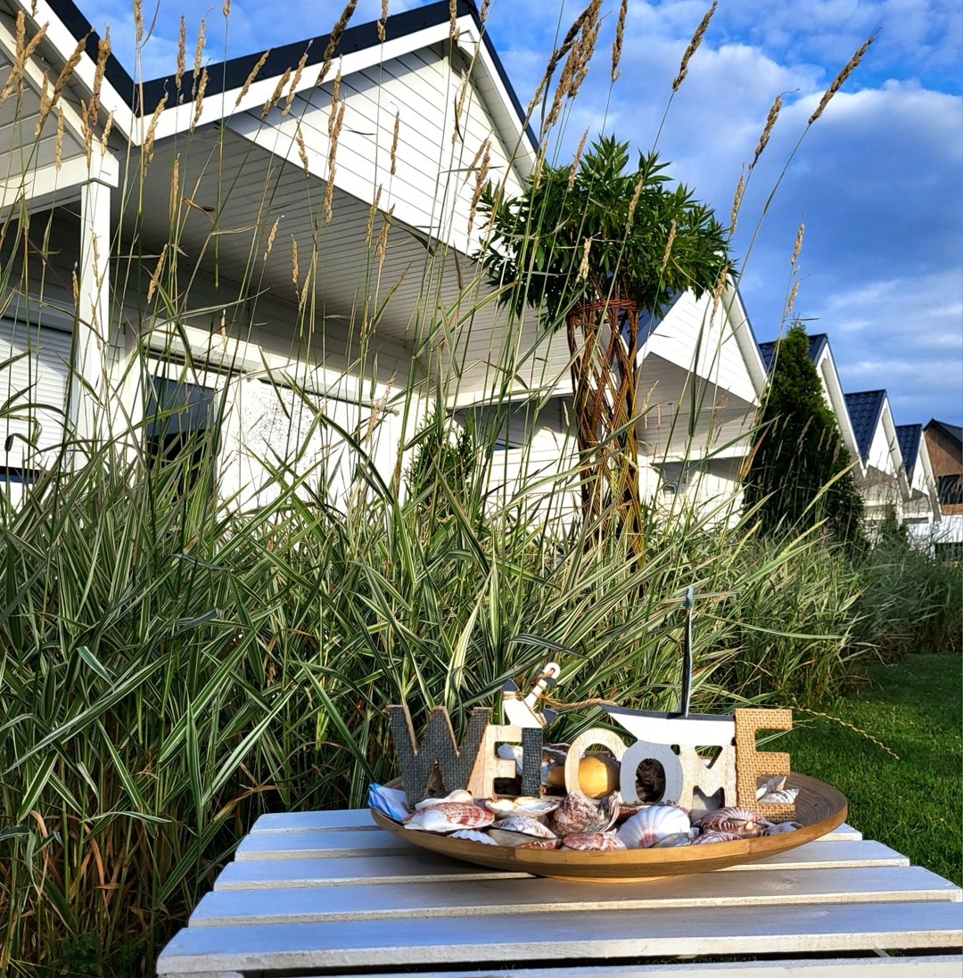 Jarosławiec plaża Dubaj Rozgwiazdy20 - 6