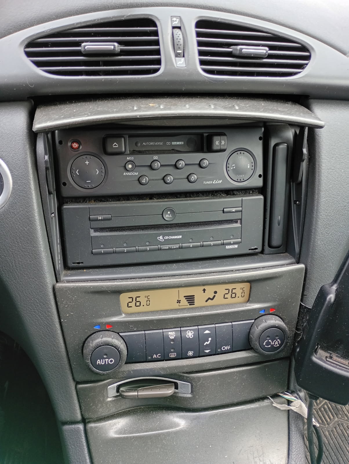 Reno laguna 2004 - 6