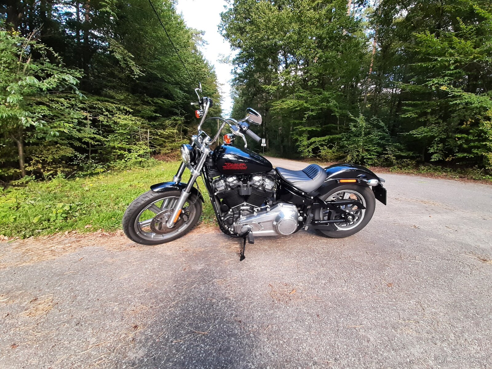 Harley davidson softail standard 2024 - 6