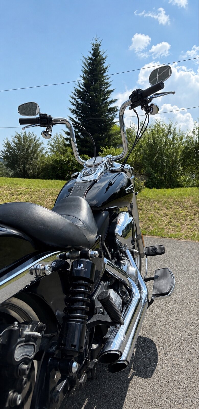 Harley Davidson FLD 103” - 6