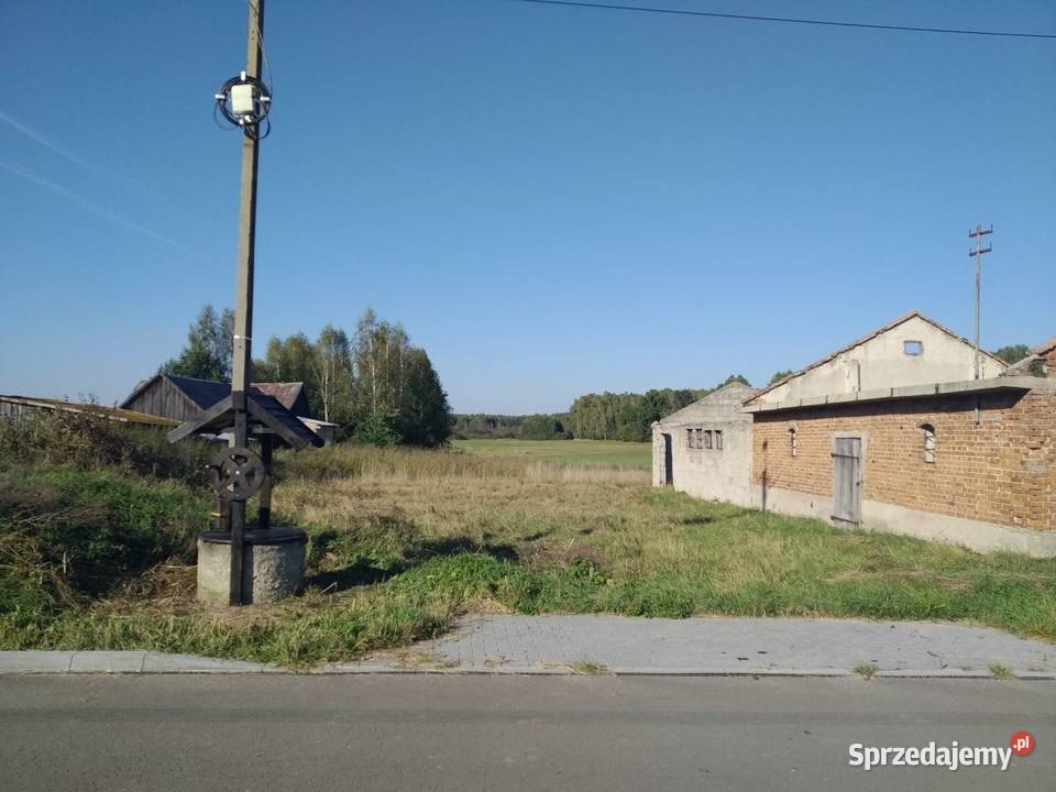 Sprzedam działkę siedliskową z zabudowaniami - 6