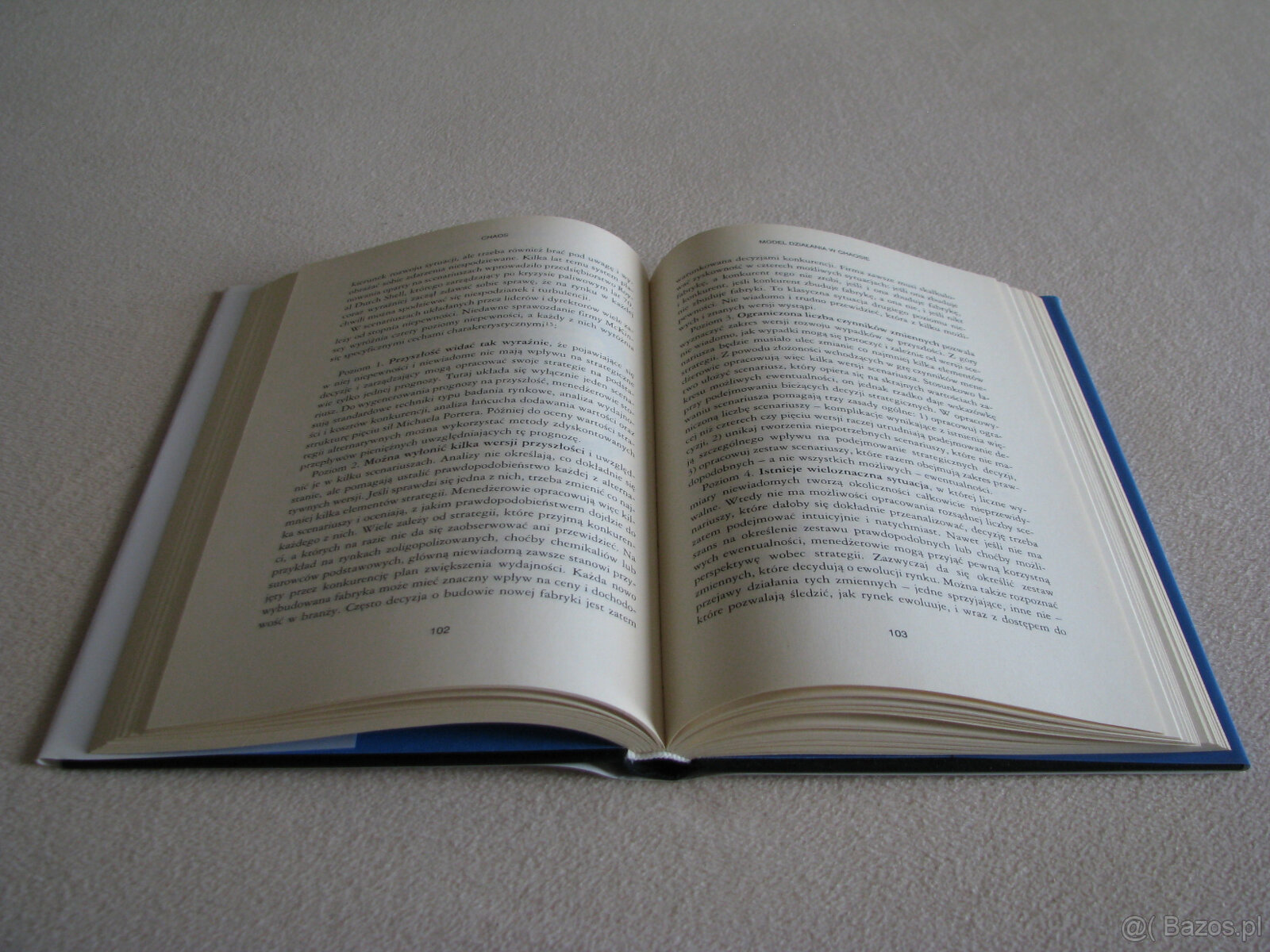 Chaos - Zarządzanie i marketing w erze turbulencji, Kotler - 6