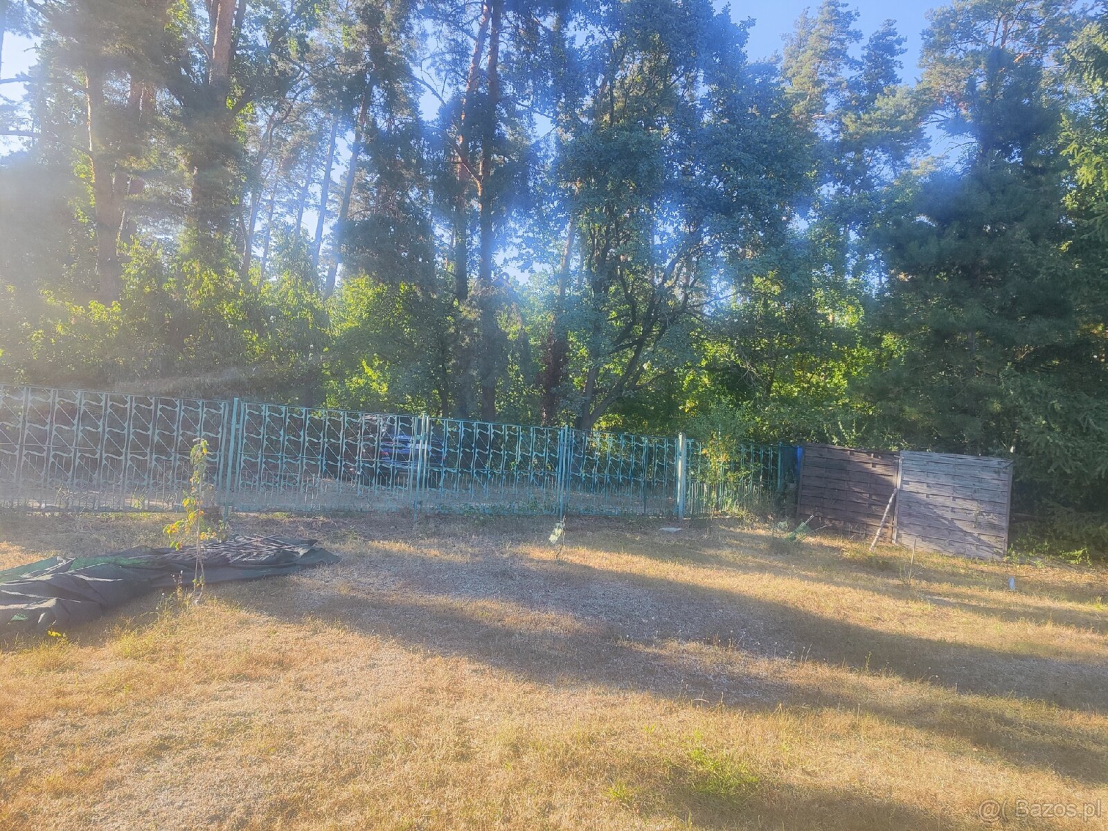 Działka Ogrodowa ok.5 ar Rod Leśny w Lubinie - 6
