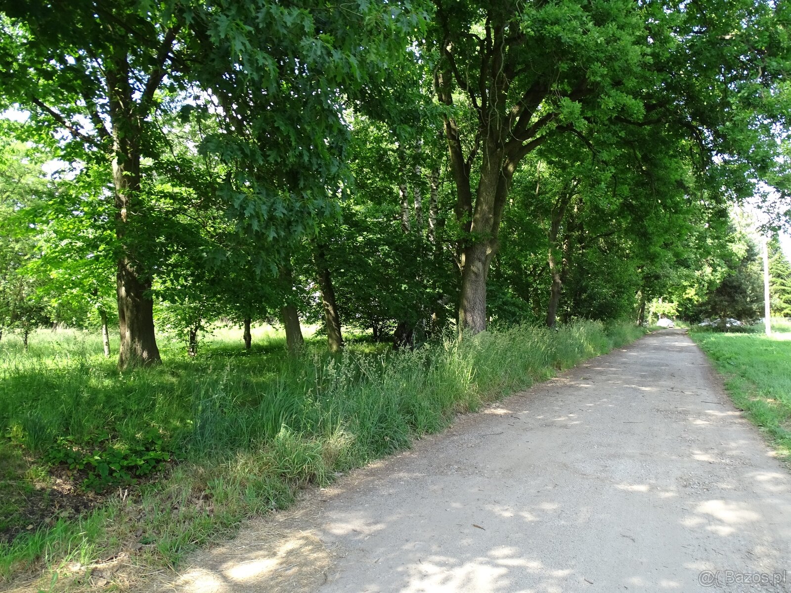 Działka pod inwestycję mieszkaniową, Zajączków - 6