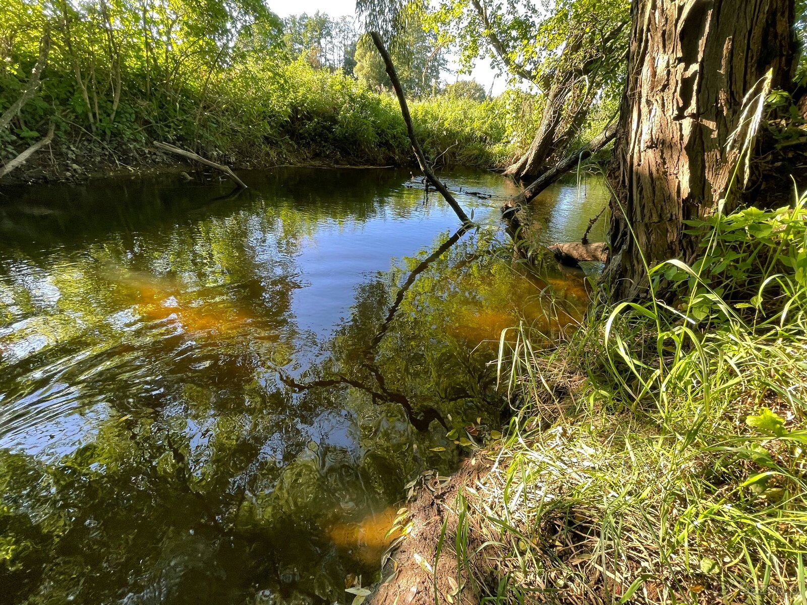 Sprzedam cztery działki w Idzbarku z linią brzegową rzeki - 6
