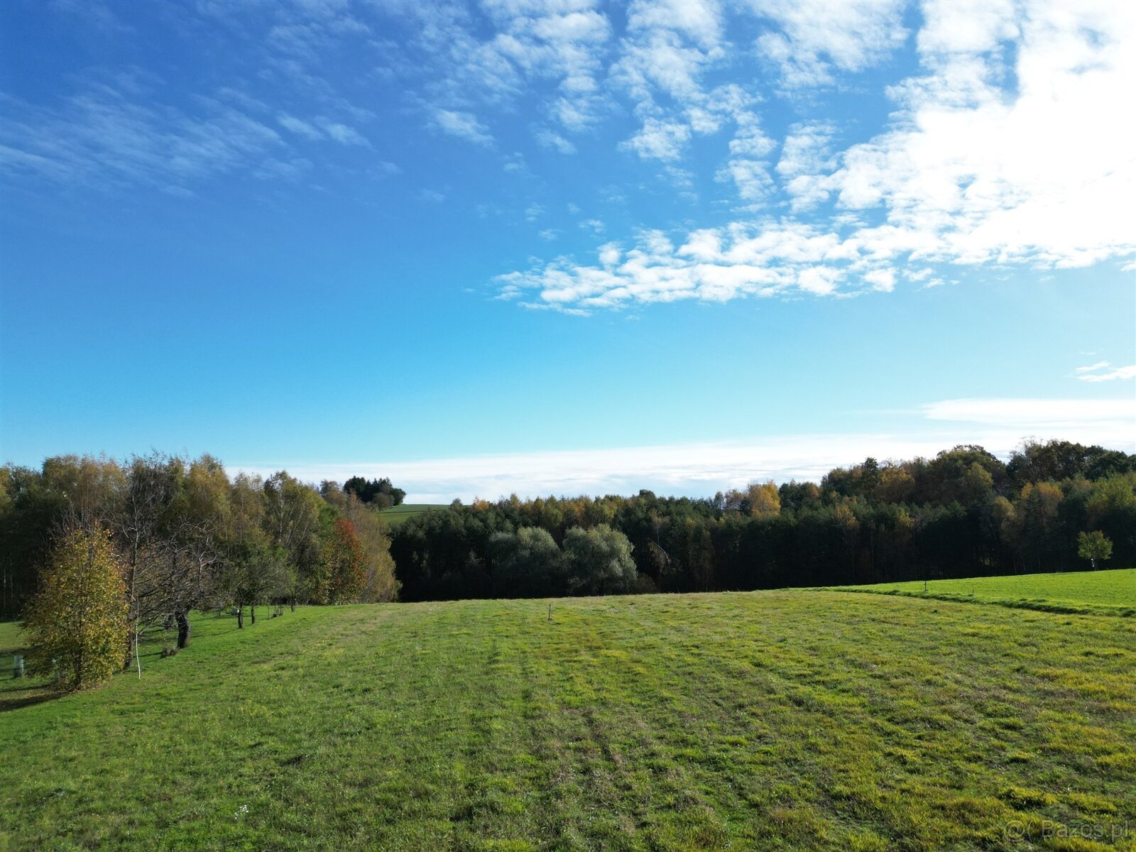 Piękna Działka w Dębnie 1529m2 - 6