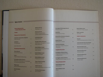 Muzea Watykańskie Rzym – cykl Wielkie muzea Barbara Furlotti - 6