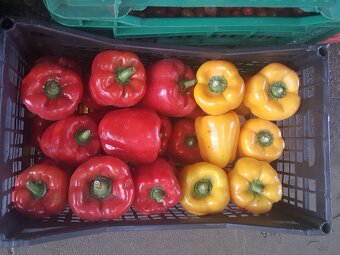 Import owoców i warzyw - 6