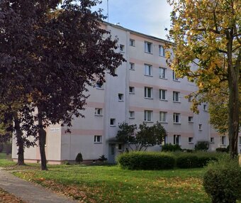 Mieszkanie o pow. 33.90m2, po remoncie, IV p., Os. Kaliniec - 6
