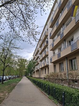 Bezpośrednio wynajme 38 m2 apt. na Muranowie - 6