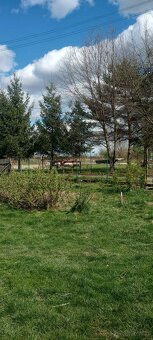 Mieszkanie z ogrodem - 6