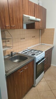jednopkojowe mieszkanie do wynajęcia - 6