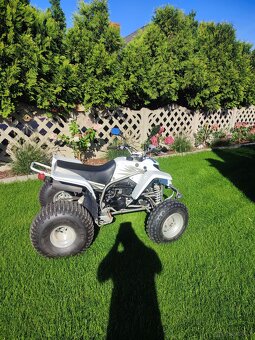 Yamaha Blaster 200 2T - 6