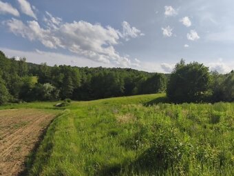 Działka w Lipnicy Dolnej - 99 arów - 6