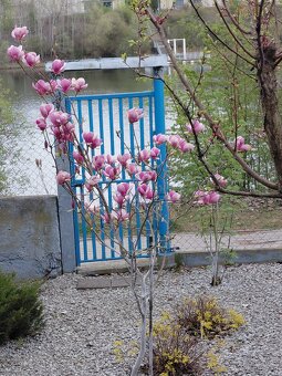 Sprzedam działkę - 6