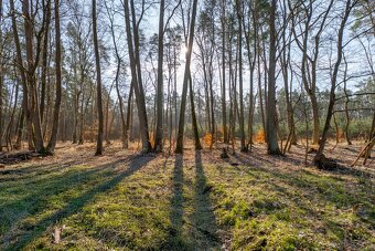 Działka z wydanymi warunkami 120 zł/m2 las jezioro - 6