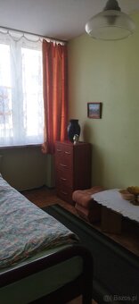Mieszkanie do wynajęcia - 6