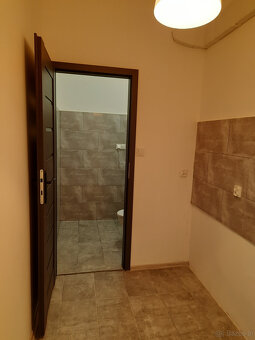 Lokal do wynajęcia - 6