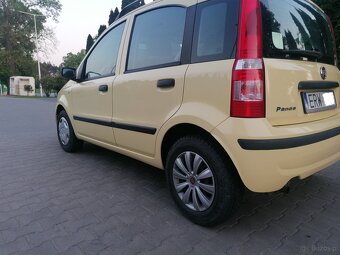 Panda - 6