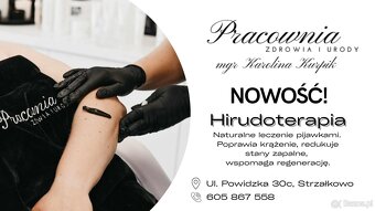 Pijawki Lekarskie Hirudoterapia - 6