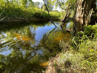 Sprzedam  cztery działki w Idzbarku z linią brzegową rzeki - 6