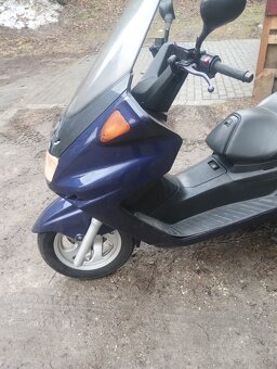 Yamaha majesty 250 - 6