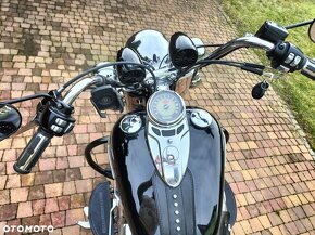 Harley Davidson Heritage - 6