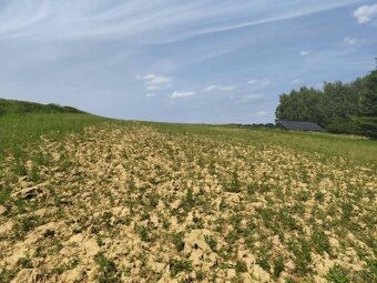 Działka budowlana w miejscowości Siedliska - 6